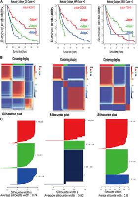 The Integrative Analysis Identifies Three Cancer Subtypes and Stemness Features in Cutaneous Melanoma